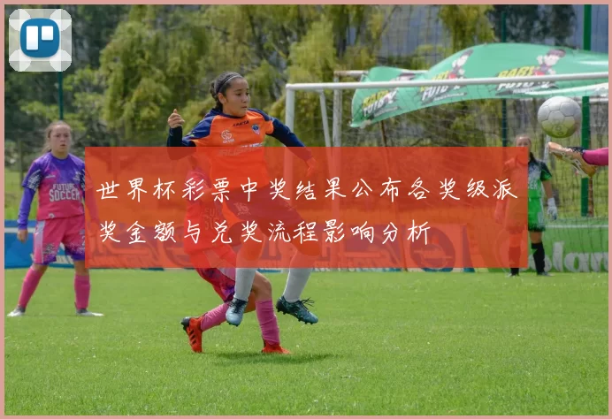 世界杯彩票中奖结果公布各奖级派奖金额与兑奖流程影响分析
