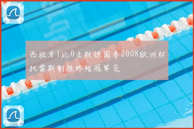 西班牙1比0击败德国夺2008欧洲杯托雷斯制胜终结冠军荒
